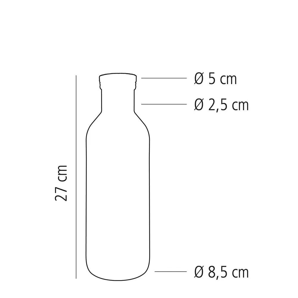 APS LINES karaf glas 1 liter met kurk lijnenmotief 1 stuk