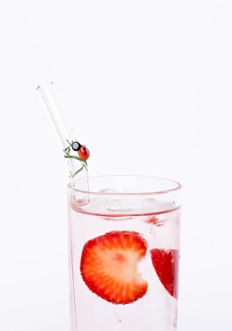 Happy Straw 3D Glass Straws glazen rietjes lieveheersbeestje 3 stuks